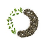 Moroccan Mint